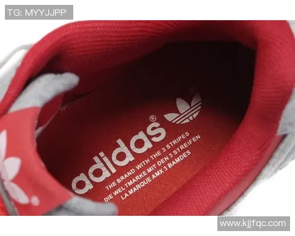 足球星球卡与篮球卡价格对比 哪个更具收藏价值和市场潜力